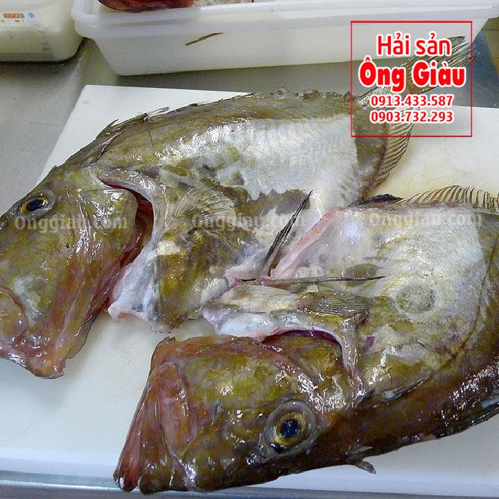 Cá Mặt Trời giá chỉ từng nào chi phí 1kg